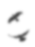 Small blured baloon